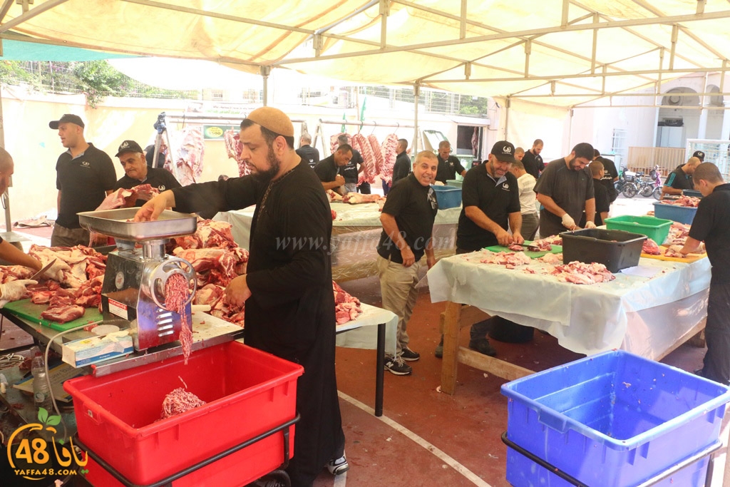 ada7y forthei (8).JPG